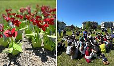 Mille papaveri per la Resistenza: a San Mauro il 25 aprile parte dalle scuole