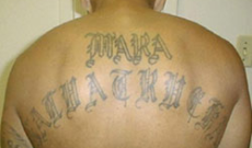 El Salvador, il processo-monstre alla MS-13: 486 imputati, 47 mila reati contestati e un Paese sospeso tra sicurezza e diritti