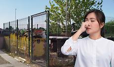 Isola ecologica invasa dai topi a San Mauro. I cittadini: &ldquo;Segnalazioni al Comune ignorate&rdquo;