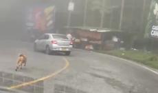 Corre dietro all&rsquo;auto che lo abbandona