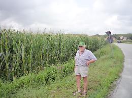 STRAMBINO. Liti tra agricoltori in tribunale