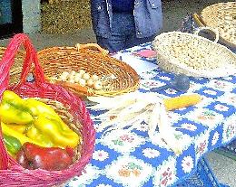 Sagra del Cipollino.. bagnata ma fortunata