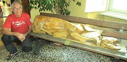 La scultura del legno e altre esposizioni nel Salone di Strambino