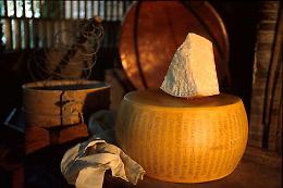 BRUXELLES. TTIP: posizioni distnti su fontina, gorgonzola e marchio italia
