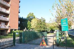 Presi a sassate ai giardinetti di via Amati