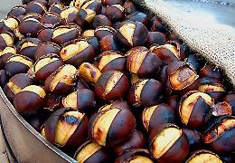 ROMA. Coldiretti,raccolto in calo del 30% per le castagne italiane