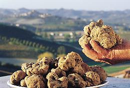 ALBA. Alimentare: Mipaaf a Fiera Tartufo, promuove eccellenze