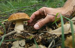 RUBIANA. Cade mentre cerca funghi, morta anziana
