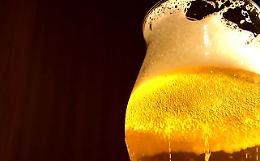TORINO. Salone del Gusto: vino, birra e cocktail, biodiveristà in bicchiere