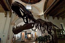 TORINO. Oltre 4.000 visitatori per "DomenicaalMuseo"