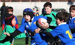Il VII Torino Rugby dà vita al Torneo Telethon