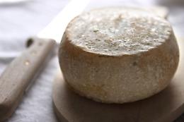 ROMA. Latte in polvere: allarmismo pericoloso per il made in Italy