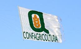 TORINO. Ogm: Confagri, agricoltura ha disperato bisogno biotecnologie