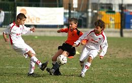 Il torneo La Volpe apre i battenti