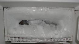 A Novara il cadavere della madre nel freezer da 3 anni