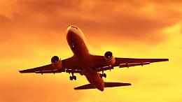 "Il rischio zero sul bird strike? Impossibile": parla l'ex pilota
