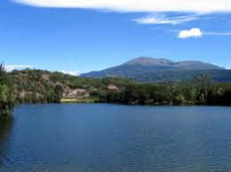IVREA. Bosco San Michele: si punta sul volontariato