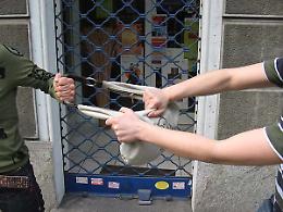 GIAVENO. Picchiano donna per strapparle borsetta, due arresti