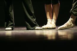 TORINO. Torino Danza, il festival si muove come 'un essere vivente'