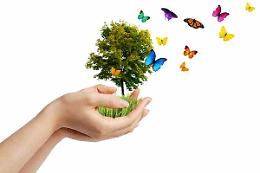 ROMA. Earth Day, piantare un albero per ogni abitante del pianeta