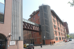 TORINO. Artrosi ginocchio, nuova tecnica efficace in oltre 70% casi