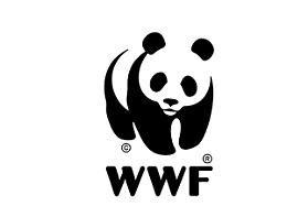 ROMA. Wwf a Regioni, piano sul lupo è arma di distrazione di massa