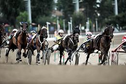 PINEROLO. Ippica: nel weekend concorso nazionale a Pinerolo