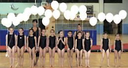 GINNASTICA ARTISTICA. Salti mortali con il Centro Sportivo Chivassese