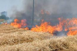 ALESSANDRIA. Incendi: roghi nell'Alessandrino sotto controllo