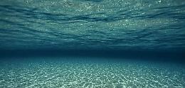 ROMA. L'Oceano è il grande malato, nel mondo 400 eventi per curarlo