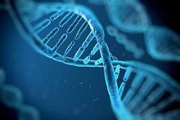 TORINO. Sanità: effetti inquinanti su Dna, ricerca su bambini