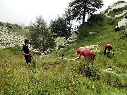 QUINCINETTO. Al via il workcamp di Legambiente