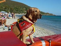 ROMA. Nelle spiagge un esercito di cani-bagnino
