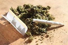 ROMA. Cannabis: Romano (Siulp), "proibizionismo ha fallito"