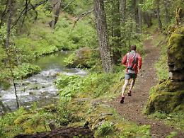 CASTELLAMONTE. Trail Monte Soglio