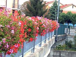 BRANDIZZO. Decoro urbano: Deluca interroga Buscaglia