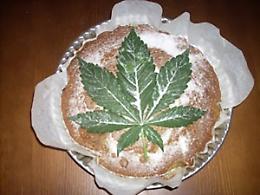 PINEROLO. In ospedale per intossicazione ma era torta alla marijuana
