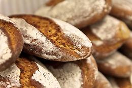 NOMAGLIO. Torna in funzione l'antico forno sociale