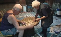 QUINCINETTO. Un'ottima Sagra del Cipollino!