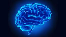 ROMA. Scoperto il gene custode del "gps" cerebrale