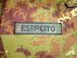 TORINO. Al via la collaborazione tra l'Esercito e l'Unssc