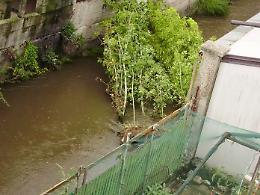 BRANDIZZO. Una cittadina in balìa del degrado