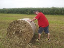 VEROLENGO. Preparativi per il Palio