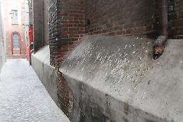 CHIVASSO. Altro che grano, è la città del guano...