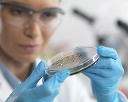 ROMA. Ebola: MSF, "comunità mondiale sia pronta a epidemie future"