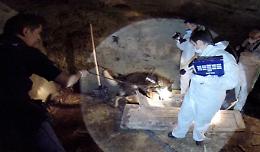 IVREA. Cadavere donna tagliato in due, sgozzata e poi sezionata