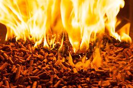 ROMA. Forestale sequestra pellet contaminato