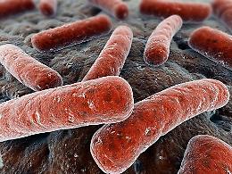 SALUZZO. Tubercolosi: caso in una scuola del Cuneese, via profilassi