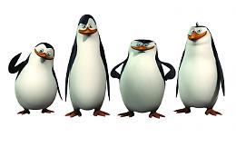 TORINO. Animali: Zoom riapre e Skipper presenta cucciolo di pinguino