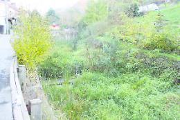 SAN MAURO. Niente manutenzione, i rii a rischio esondazione